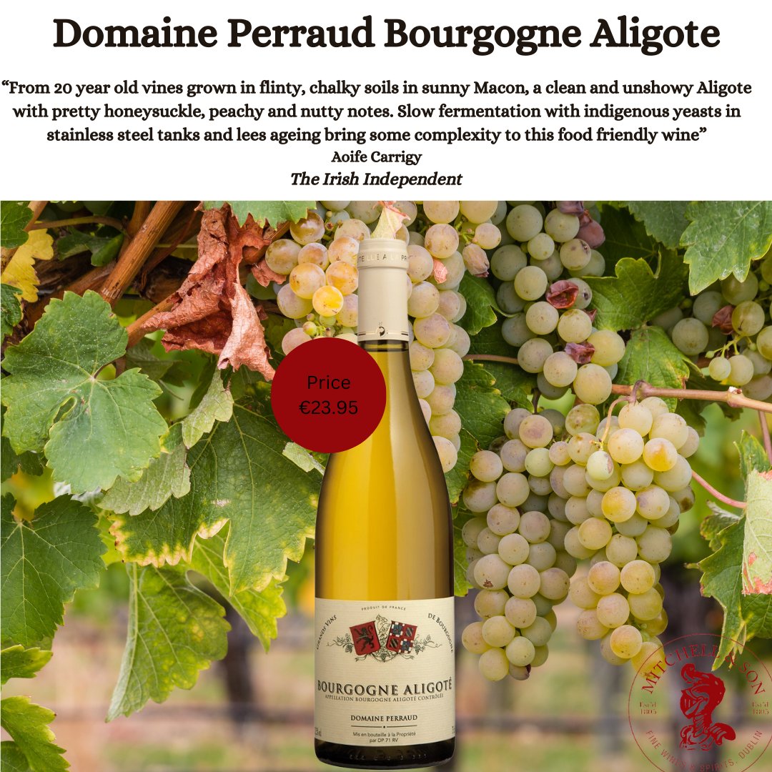 Try this delicious Domaine Perraud Aligoté from France. Superb food friendly wine. Shop now online or instore. @independent_ie @aoifeCarrigy @smullenj @cavistons @dubCham @wine_philosophy @sandycoveGlast1 loom.ly/wuNRmcg