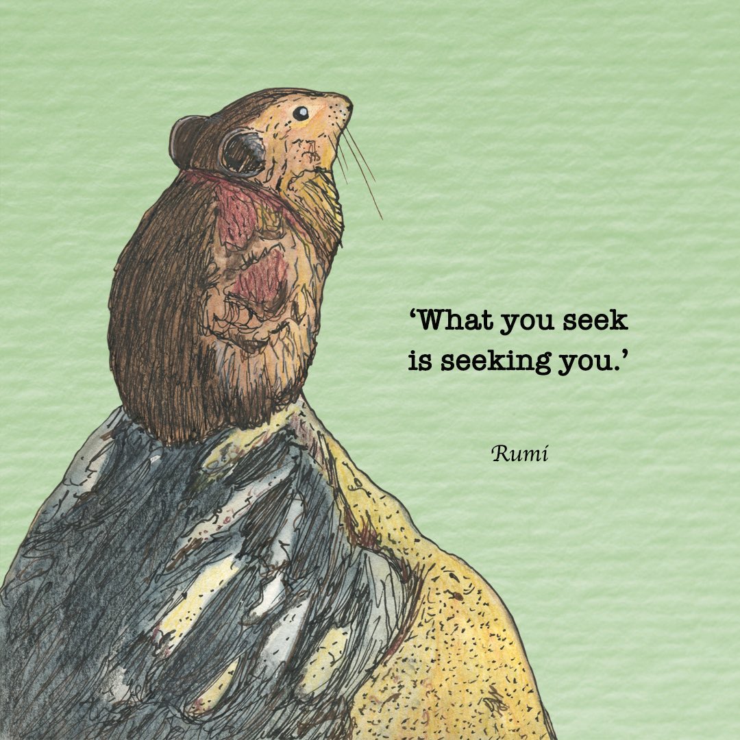 'O que procuras, procura por ti.’ Rumi
#quotes #rumi #tradutora #translation #traducao #illustrationartist #graphicdesign #illustration #ilustracao #ilustradora #books #bookpublisher #ilustradora #kidslit