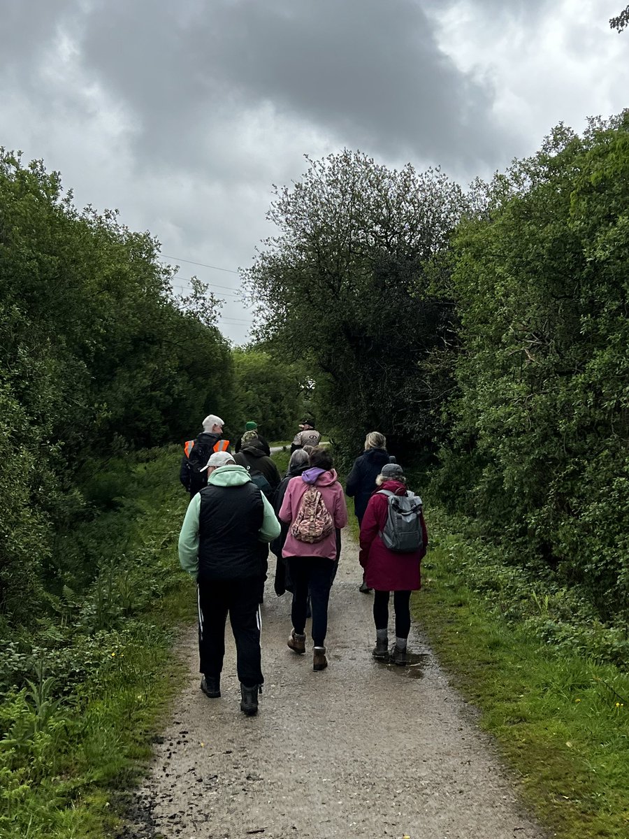Great to be able to join our week 1 of the @DiabetesUK @NaturalEngland wellbeing walk on Goss Moor #wellbeing #walk #Nature