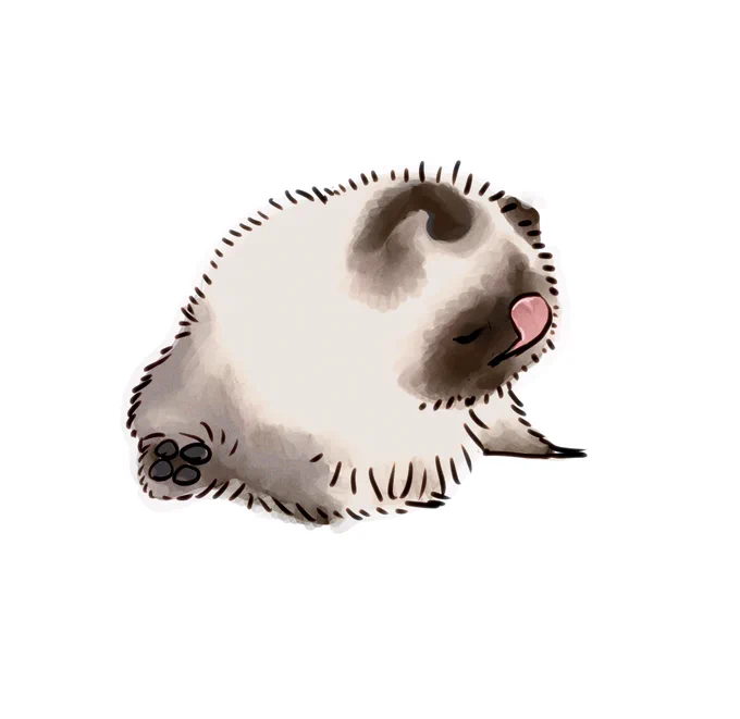  こういう謎のなにか 