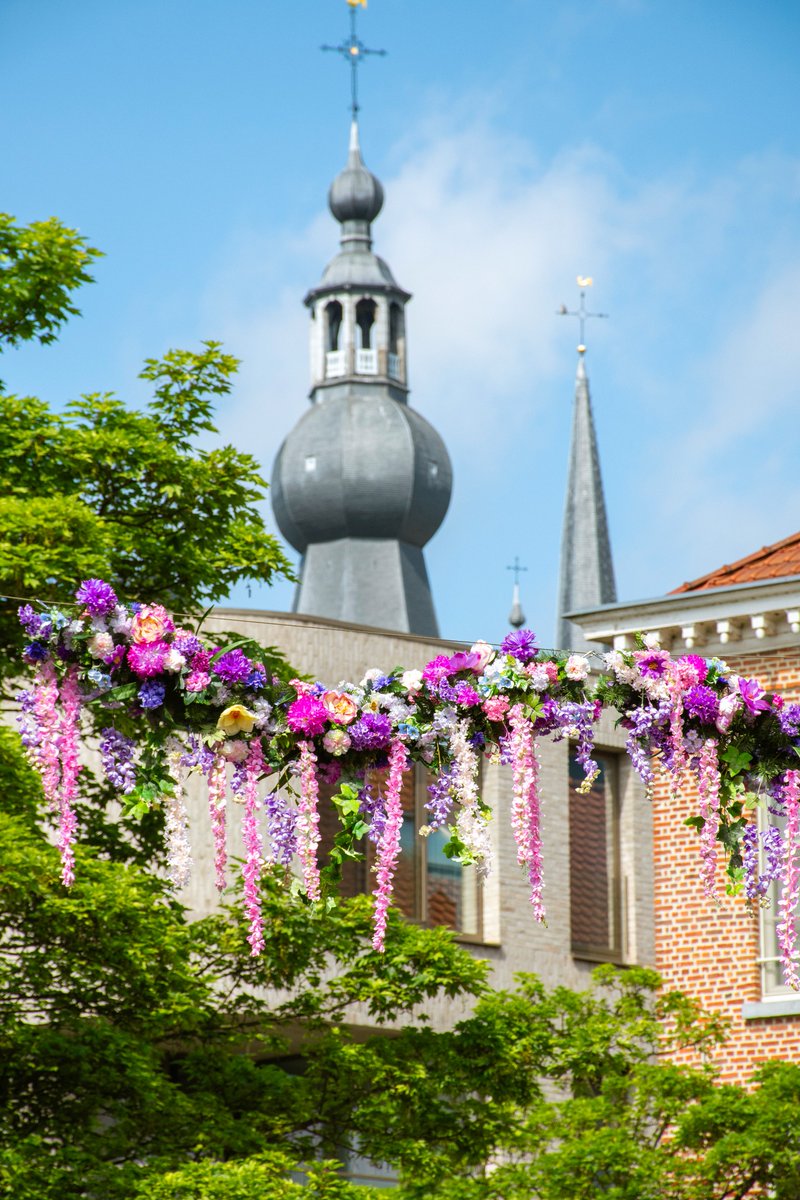 .@StadAarschot fleurt winkelstraten op met nieuwe bloemenslingers: '412 meter aan kleurrijke bloemen' #robtv