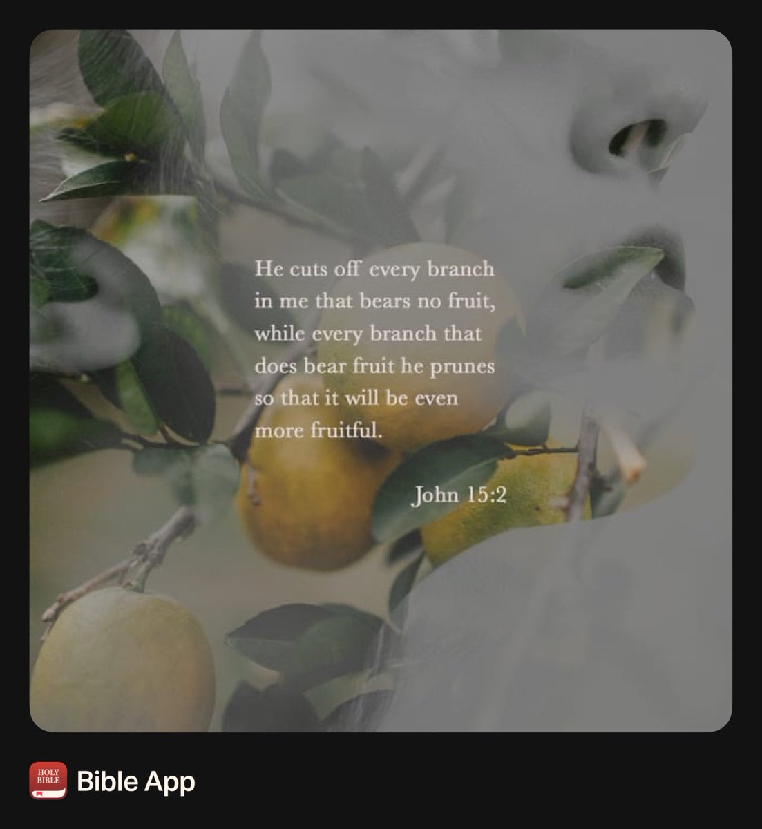 Be fruitful as you move through this life, it will payoff.