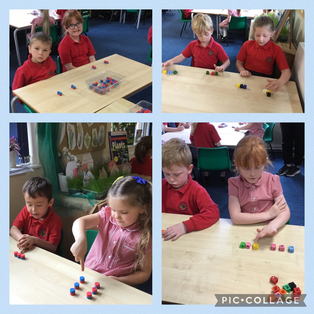 Sparrows can divide a number into equal groups! We can explain if a group is equal or unequal. #cuddingtonmaths #cuddingtony1 @createlearning_