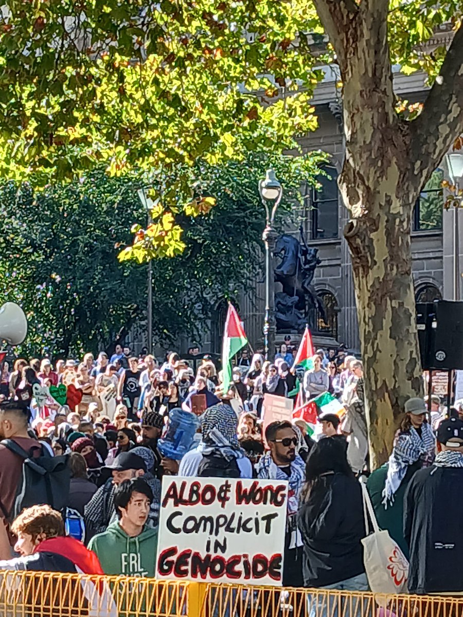 @RhondaGarad @SenatorPayman Seen at Pro Palestine Humanity Rally last Sunday.