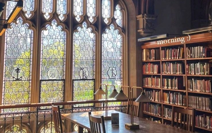 AcademiaDreams's tweet image. tucked away in the library