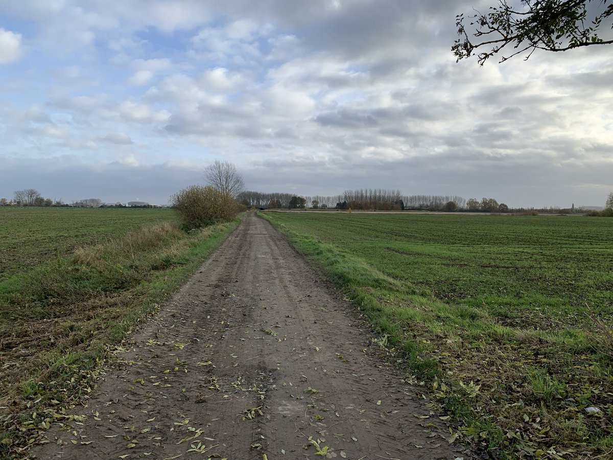 Remembering today the 264 officers and men of 2nd Royal Inniskilling Fusiliers including my Great Uncle James, who fell and rest in the fields either side of the Cinder Track at the Battle of Festubert beginning 15 May 1915.