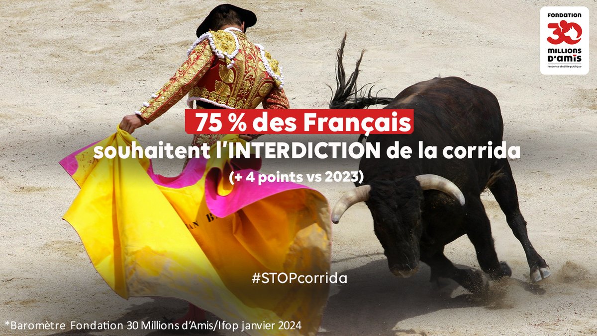 75% des Français souhaitent l’interdiction de la corrida [Baromètre Fondation 30 Millions d’Amis/@Ifop - 2024) #STOPcorrida