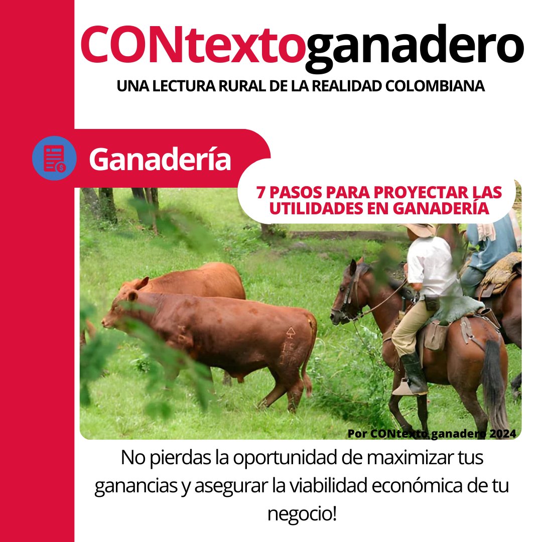 Pasos para proyectar las utilidades en ganadería contextoganadero.com/ganaderia-sost… vía @ContGanadero #ConstruyendoGanaderia @Fedegan @jflafaurie @marcosganadero  @plsantarosa
