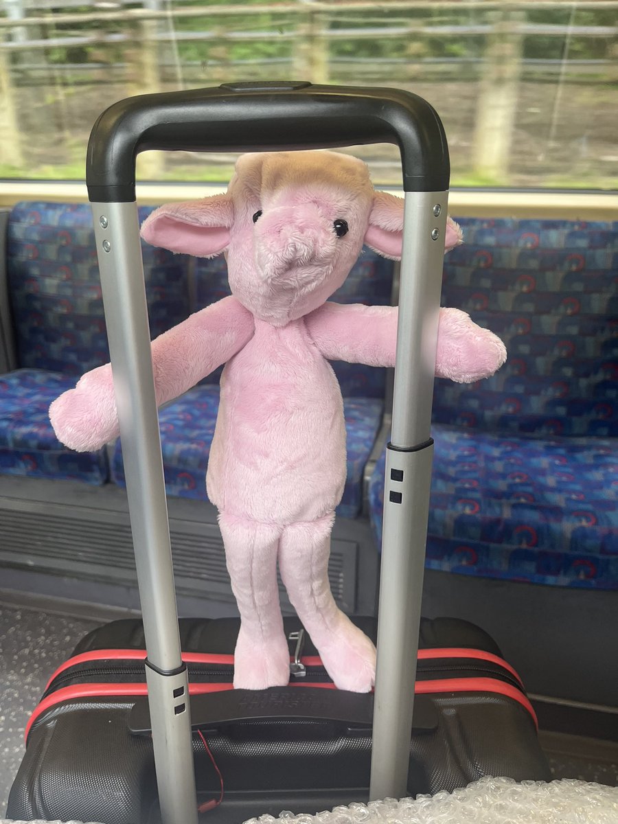 2026Wrtc's tweet image. Meet Hammy, our WRTC 2026 mascot! On his way to Dayton ❤️🐽🐷🐖