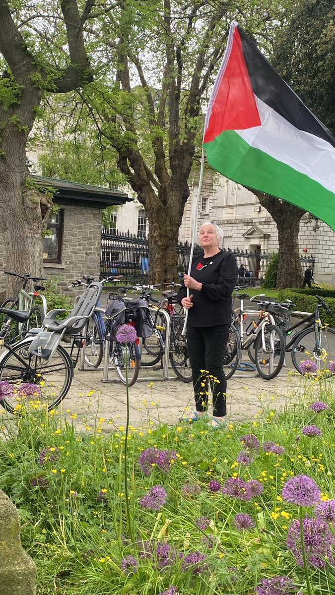 PBP TD Brid Smith unfurls a Palestinian flag outside Leinster House after the party was refused permission by the Ceann Comhairle to fly the flag on Nakba day.