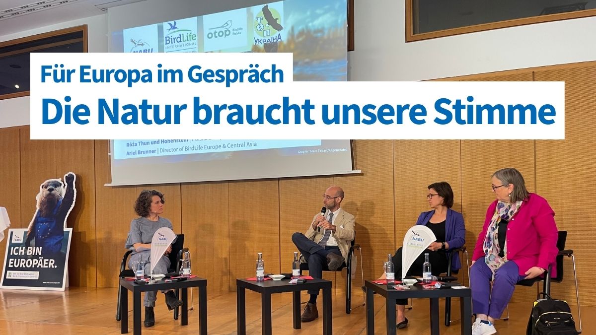 Weil Natur keine Grenzen kennt: Heute live in Frankfurt(Oder) im Gespräch mit MdEP @HNeumannMEP aus 🇩🇪+@rozathun aus 🇵🇱. Die Natur kann nicht wählen. Sie braucht unsere Stimme. Für Europa. In Deutschland und Polen. #Europawahl #natürlichwählen Zum Stream👉 youtube.com/watch?v=SXC121…