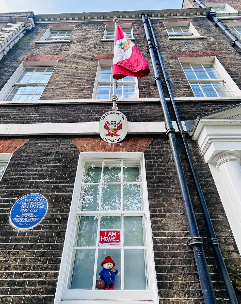 🐻Paddington Bear has found his newest home at the Embassy of Peru in the UK🇵🇪🇬🇧! Straight from the rainforests of Peru🌳, this iconic bear, celebrated for his charming adventures, has been warmly welcomed, bringing along a piece of Peruvian charm!📸#PaddingtonInPeru #PeruEmbassy