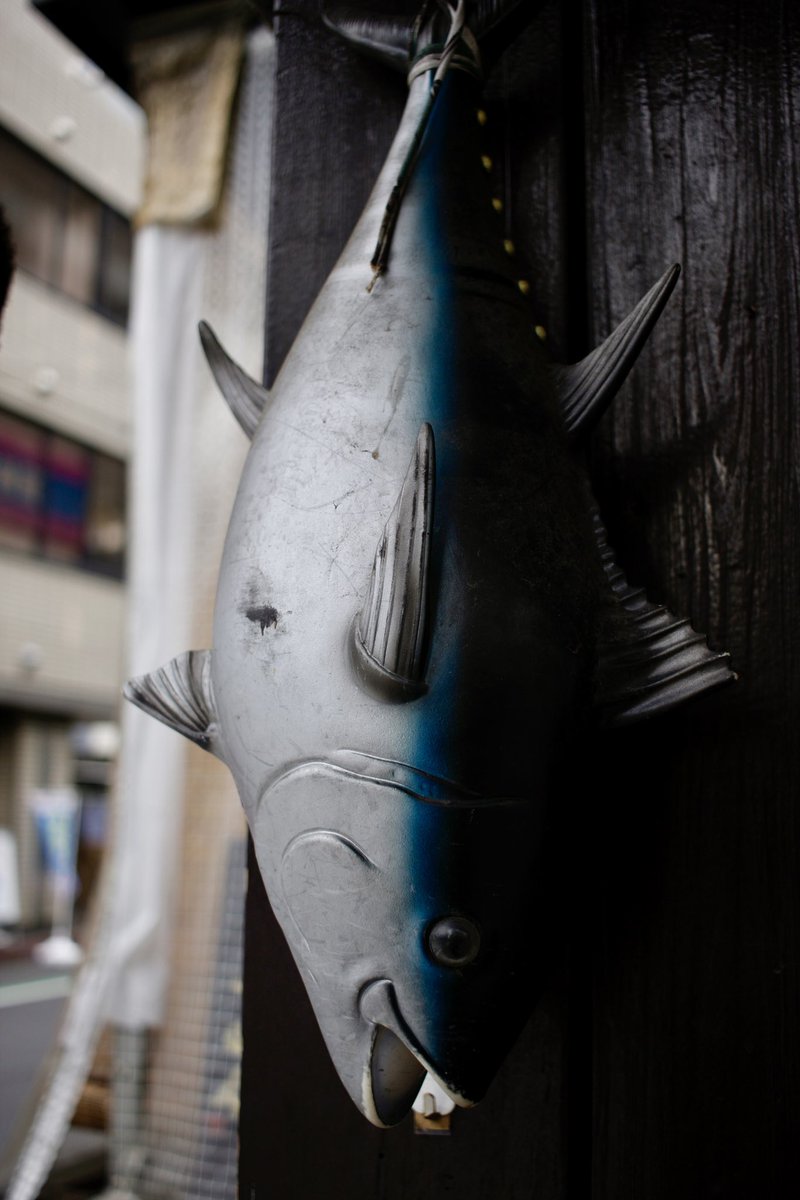 魚
Canon EOS 40D
EF-S 24mm f2.8 STM
#snap
#streetphotography 
#Canon
#photography
#誰かの記憶の片隅に
#何気ない日常を残したい
#写真好きな人と繋がりたい
#kyousukecamera