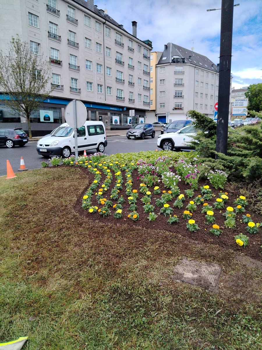 🌺 Continúa a plantación da flor de temporada nos barrios da #Ferrol ferrol.es/Concello/Novas…