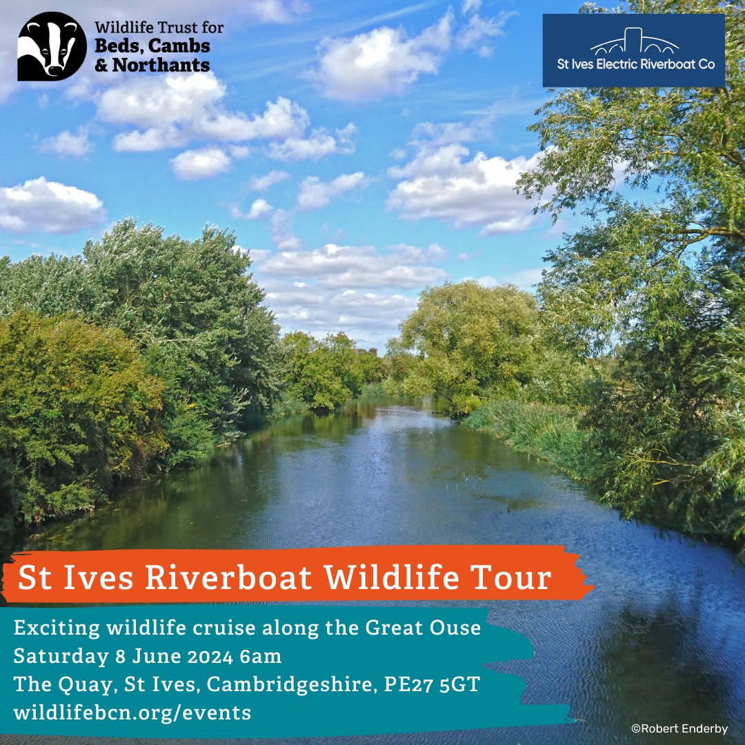 Didn't manage to get a spot because it sold out? Don't worry as there is another one next month. An exciting wildlife cruise along the river Great Ouse in the early hours of the morning looking for the many species of wildlife that call it home. 💚 👉wildlifebcn.org/events/