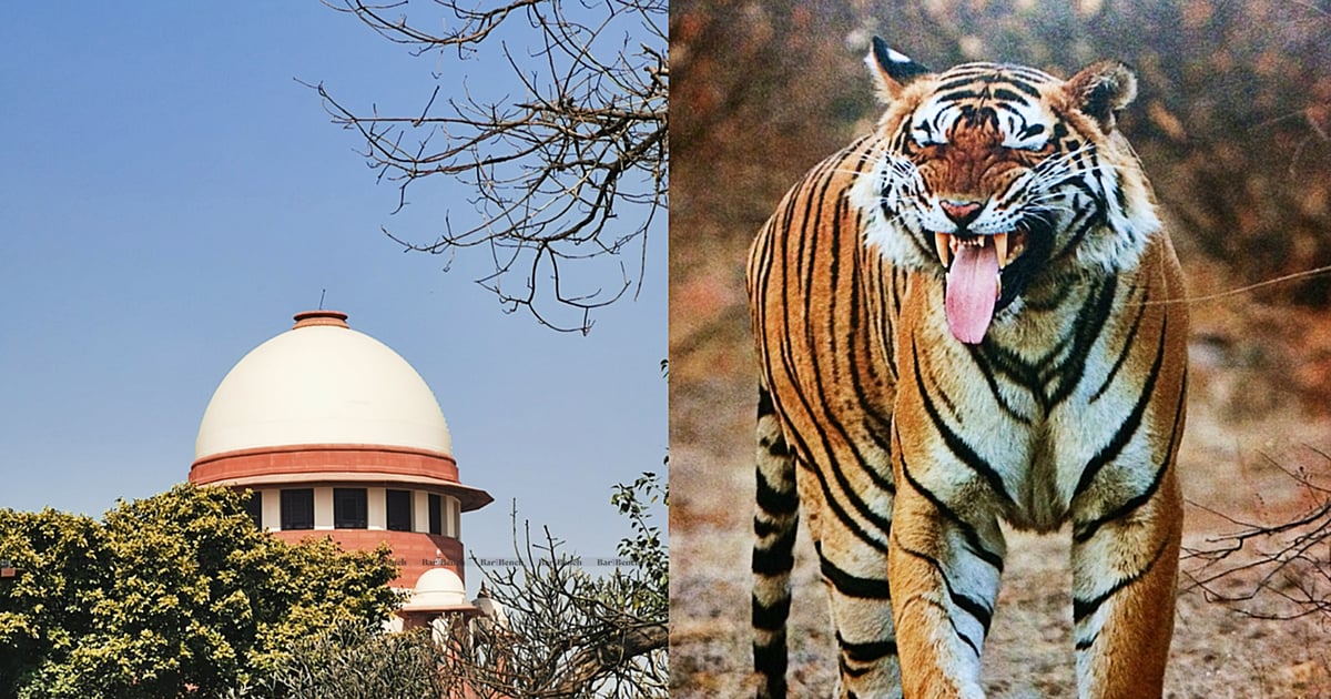 #BREAKING #SupremeCourt HALTS all mining activities around the Sariska Tiger reserve