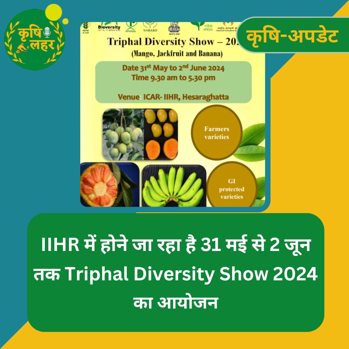 बेंगलुरु के हेसरघट्टा में @ICAR_IIHR में 31 मई से 2 जून 2024 तक Triphal Diversity show होने जा रहा है। इस event में आम, कटहल और केले की कई varieties के फल और पौधों की बिक्री से लेकर इन फलों से बनने वाले उत्पादों की प्रदर्शनी लगेगी। #KrishiLahar #AgriUpdate #Farming #ICAR