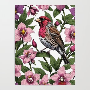New Hampshire Purple Finch And Pink Ladys Slipper #ThrowPillow #taiche #Society6 #NewHampshire  #taiche #birds #purplefinch #nature #birdsofx #bird #finch #birding #birdart #finches #natureart #wildlife #birdwatching #wildlifeart #finchesofx #birdlovers society6.com/product/new-ha…