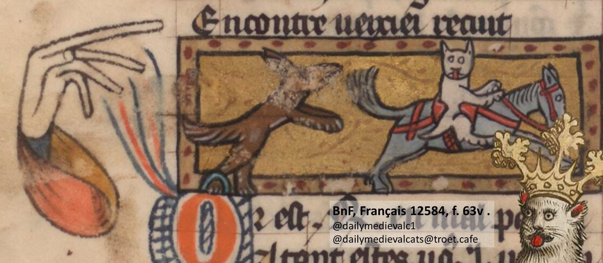 Fancy fingers.

Ms: BnF, Français 12584, fol. 63v (14th c.).  #medievalcat #medievaltwitter