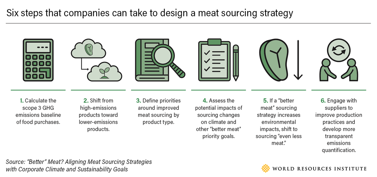 A new WRI report recommends six steps that can help companies adjust their #MeatSourcing strategy to maximize the co-benefits for climate, nature, and animal welfare and minimize trade-offs. Learn more: bit.ly/3W57Bkv