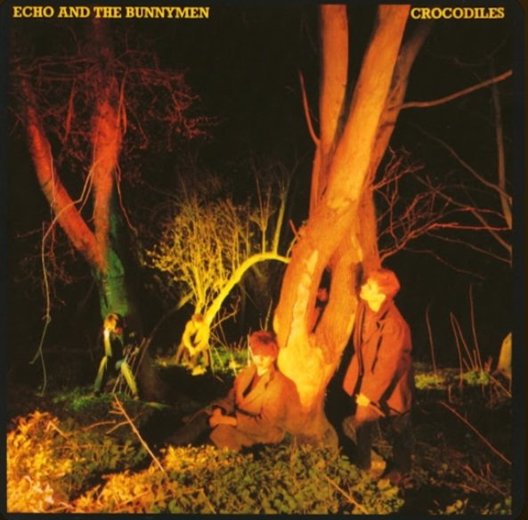 #DiscographyDeepDive
You know how they say you should live your life with no regrets?  Well, I regret not taking a dive into Echo & The Bunnymen's entire discography sooner 😆 I've been missing out.  As someone who loves the post punk sound, this 💿 really hits all the right 🧵🔽