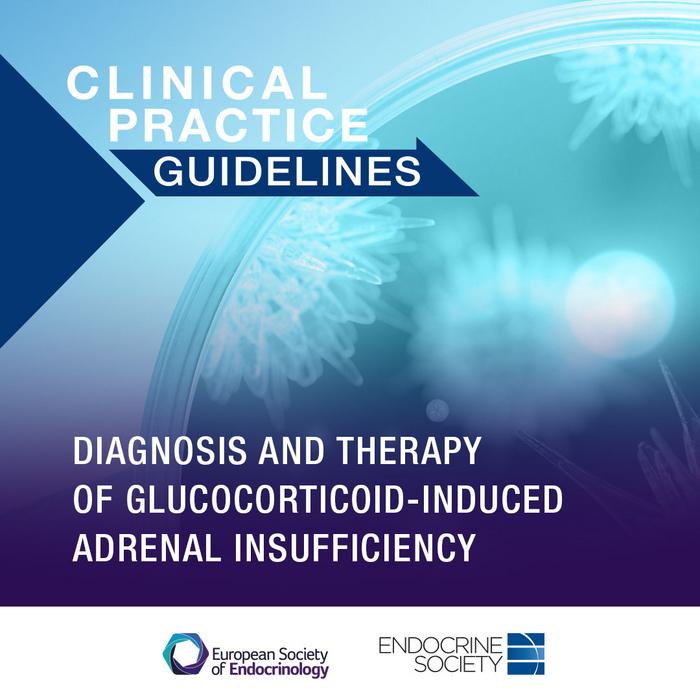 Dr. Tobias Else co-chaired guidelines for glucocorticoid induced adrenal insufficiency, which were the first codeveloped international guidelines of the Endocrine Society and the European Society for Endocrinology. Read more: eurekalert.org/multimedia/102…