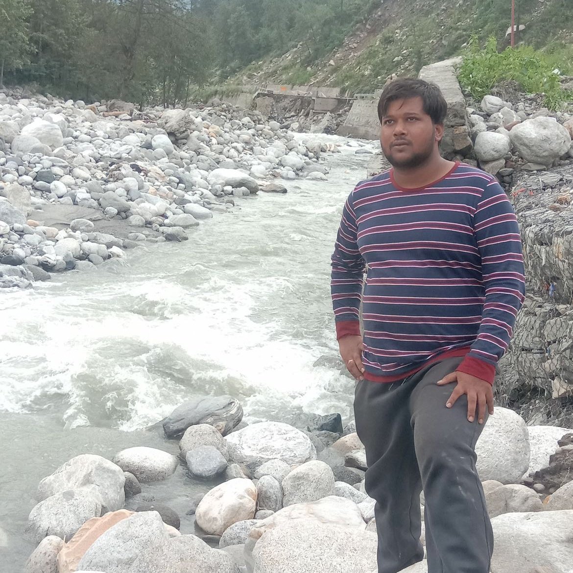 Nalin Bal tweet media