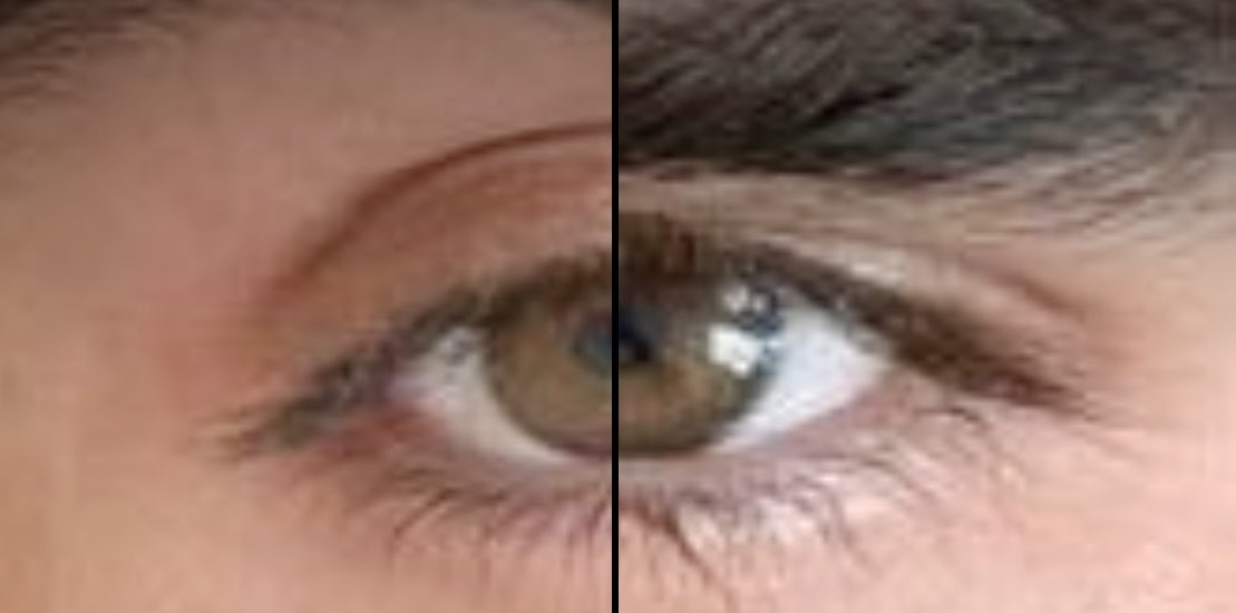 javi 🪻 tweet media