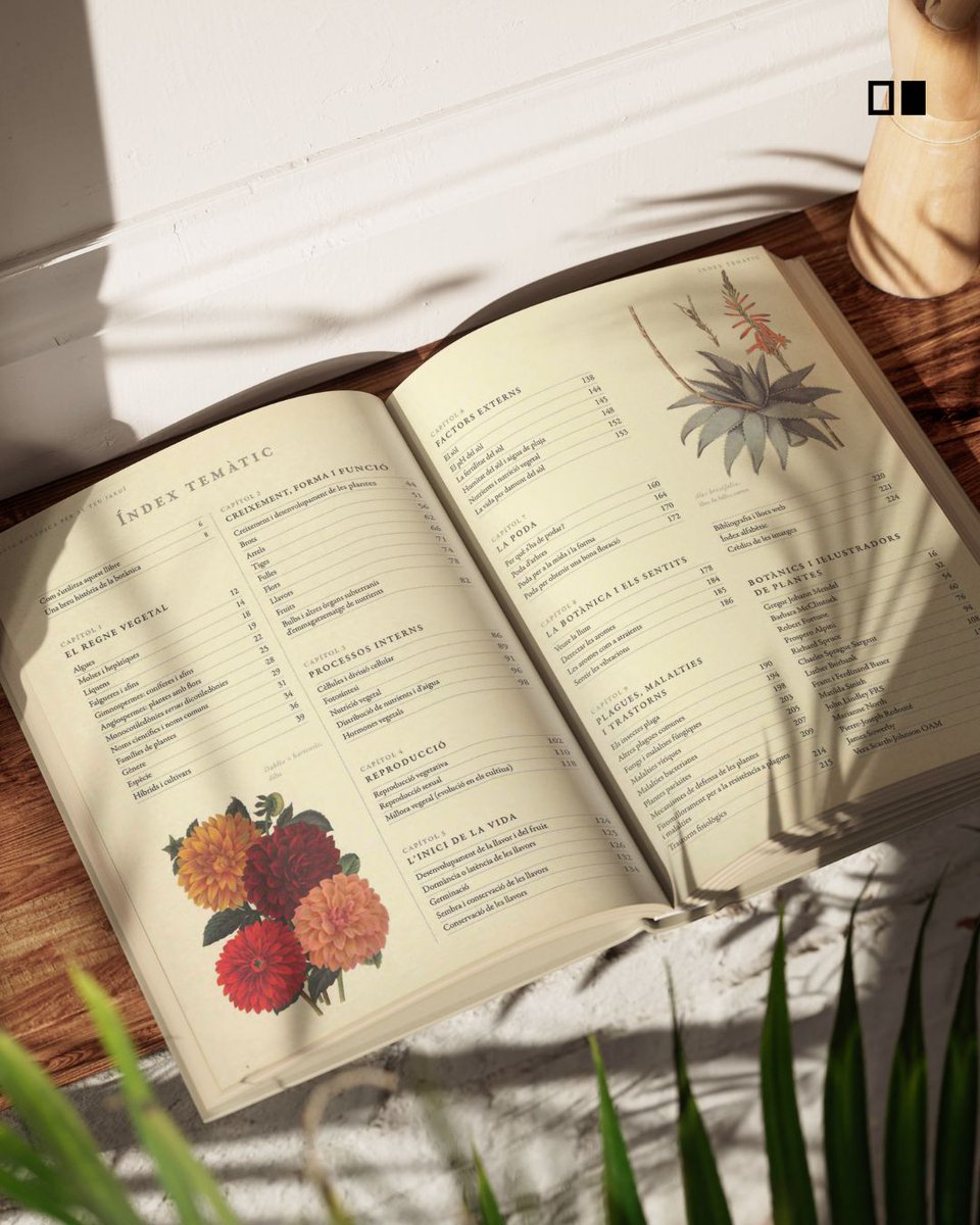 🌱🌿Aquest llibre ens enamora, i molt! 2a edició preciosa, 'Guia botànica per al teu jardí' Més de 3.000 termes botànics, i com aplicar-los a la pràctica quotidiana de la jardineria 📌lafinestralectora.cat/guia-botanica-…