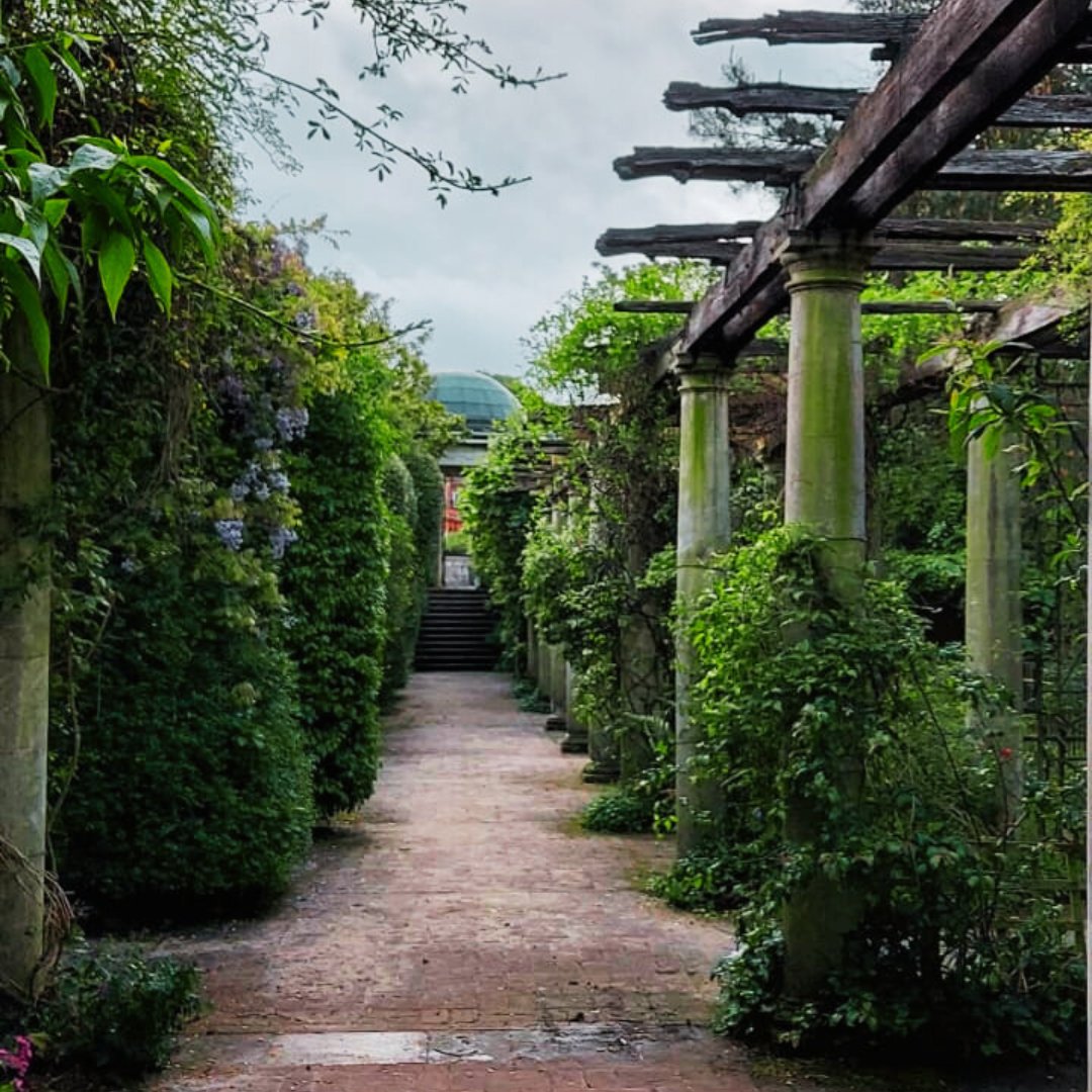 The Pergola has reopened fully today after some essential maintenance works. The Hill Garden and Pergola, which opens at 8.30am every day, are looking amazing at the moment thanks to the hard work of the Gardening Team. 👏