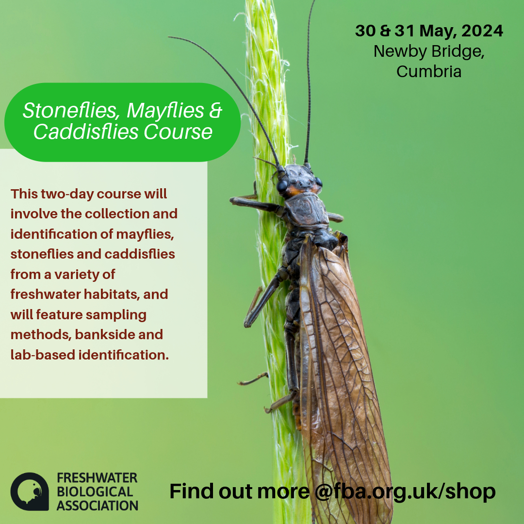 📢Last few places remaining! Don't miss your chance to join in this fantastic course and get hands-on with collection and identification of #stoneflies, #mayflies & #caddisflies in #Cumbria #LakeDistrict 💙 Book here 👇 fba.org.uk/shop/p/stonefl…