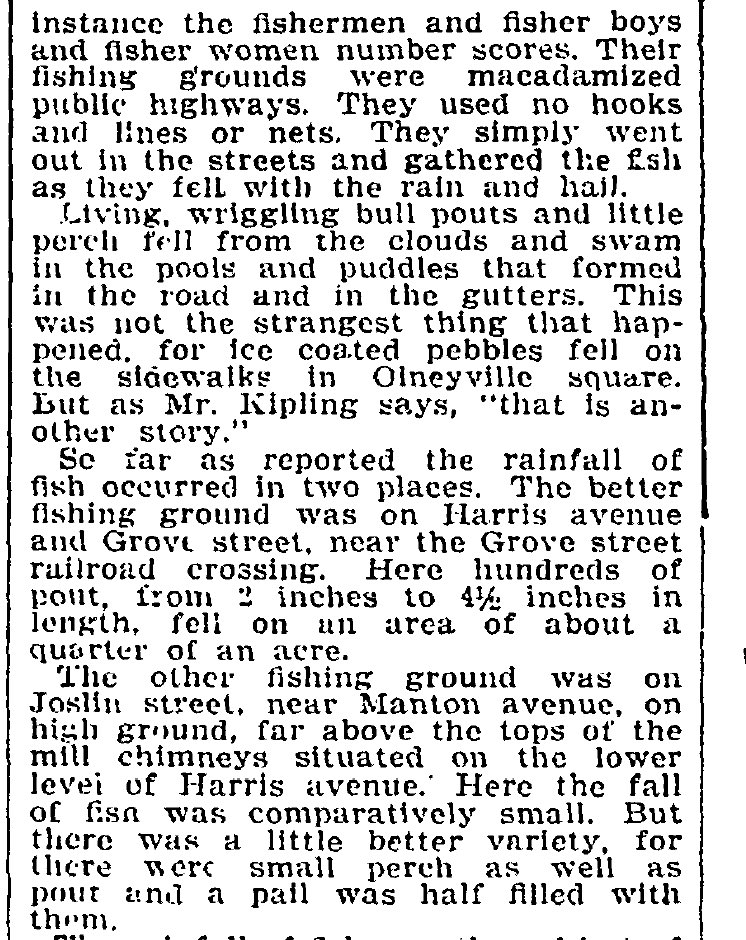 #OTD May 15, 1900, @projo reported that a 'rain of fish occurred at Olneyville' and that 'if any one doubts it, he may see one of the fish in the window of the Journal office.' Reportedly, 'hundreds of pout, from 2 inches to 4½ inches in length' fell on ¼ acre off of Harris Ave.