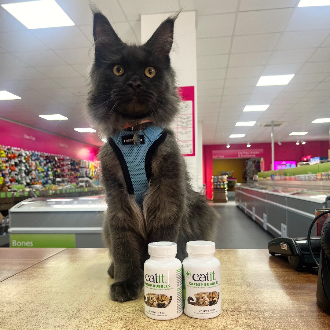 Here’s a round-up of our new-in products! 💗

🐾 Nuts for Pets' Poochbutter 

🐾 @‌naturesmenu Raw Freeze Dried range 

🐾 Mr Slobberchops Wondergel

🐾 @‌Catit Catnip Bubbles