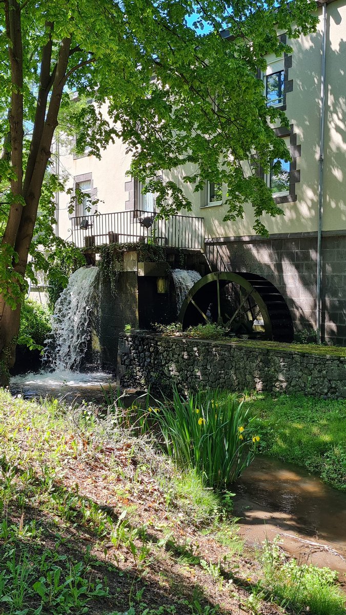 Le charmant parc Montgroux à Cébazat, joliment aménagé autour d'une grande pièce d'eau, d'un vieux moulin sur le Bédat, et de quelques fabriques. Bon, c'est pas le ciel d'aujourd'hui hein !