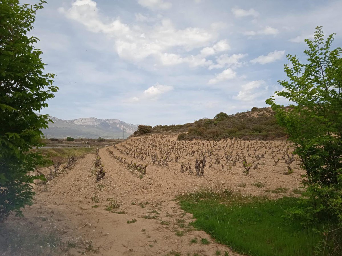 Feliz día de San Isidro Labrador a todos!!!! Día muy especial!!!