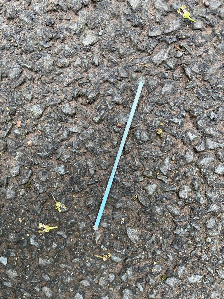 Does anyone know what these blue plastic sticks are from, they’re all over the village.
