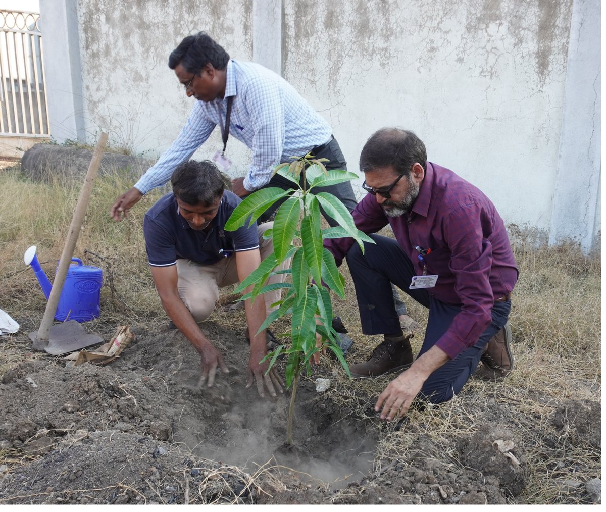 On the occasion of the “Swachhata Pakhwada” celebration, CSMCRI has undertaken a plantation drive at Chitra, GIDC campus of CSMCRI, on May 14, 2024. @CSIR_IND