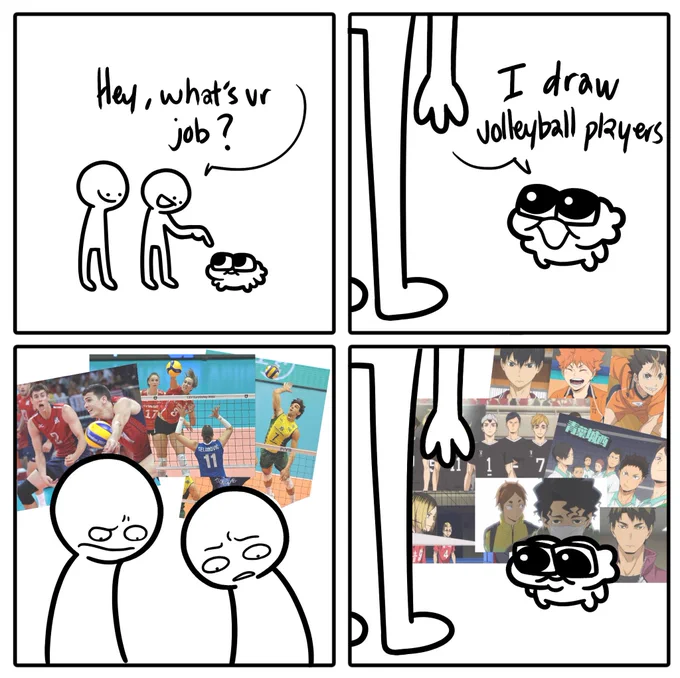 professional volleyball drawer 