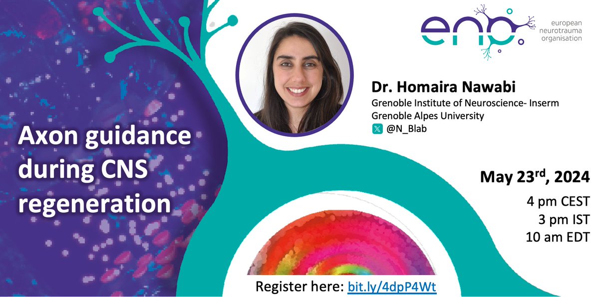 European Neurotrauma Organisation (ENO) (@enoneurotrauma) on Twitter photo Just over one week to go!! 🥳
Don't miss out on a fantastic talk from Dr. Homaira Nawabi (<a href="/N_Blab/">Nawabi-Belin lab</a>) who will discuss her work on "Axon guidance during CNS regeneration", on Thursday 23rd May!
Register here: bit.ly/4dpP4Wt Just over one week to go!! 🥳
Don't miss out on a fantastic talk from Dr. Homaira Nawabi (<a href="/N_Blab/">Nawabi-Belin lab</a>) who will discuss her work on "Axon guidance during CNS regeneration", on Thursday 23rd May!
Register here: bit.ly/4dpP4Wt