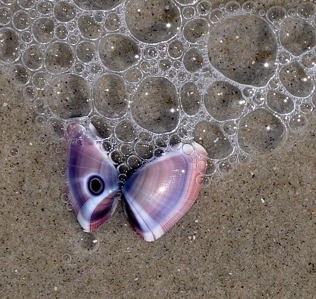 ❀ (@i3moment) on Twitter photo 