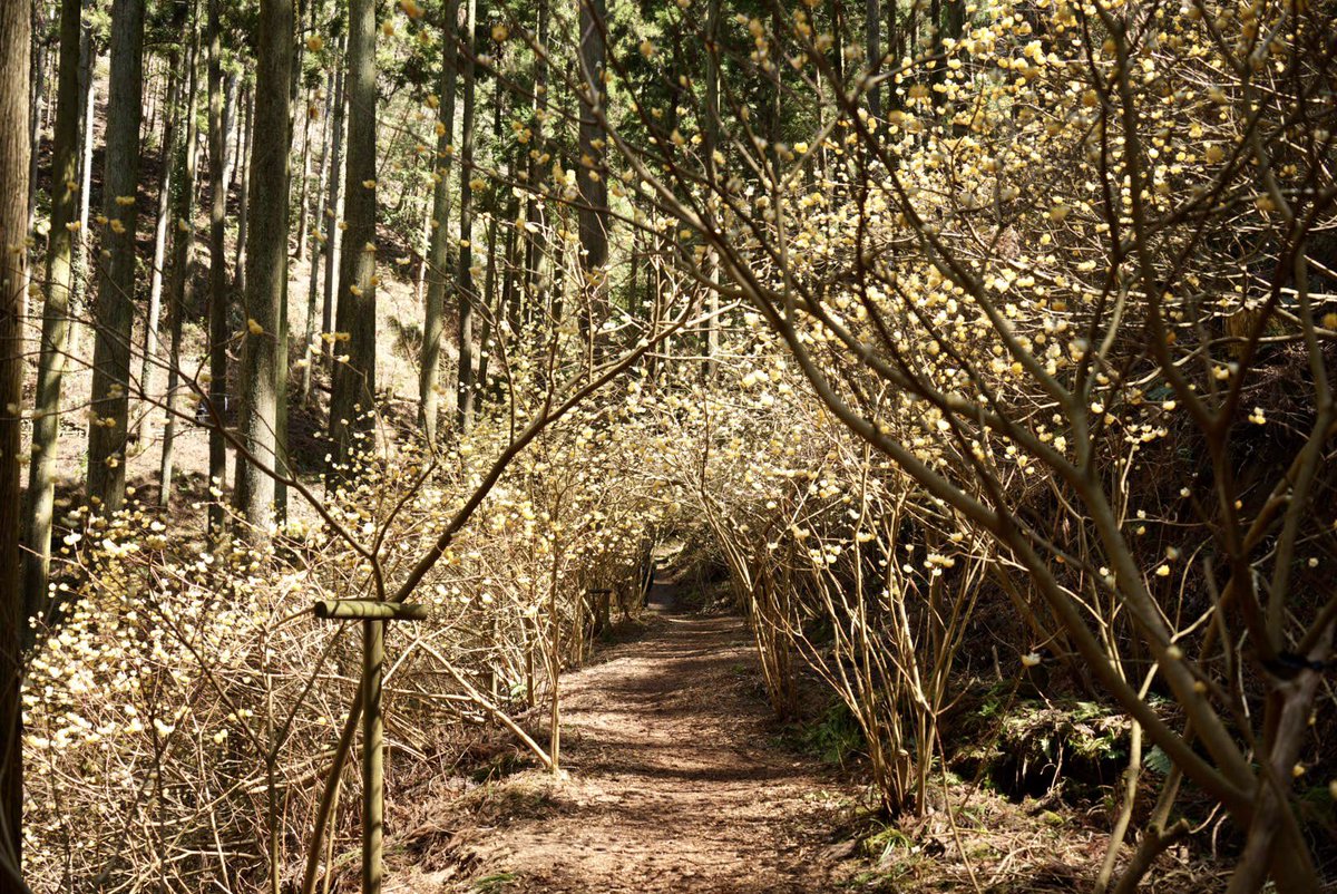 トンネル