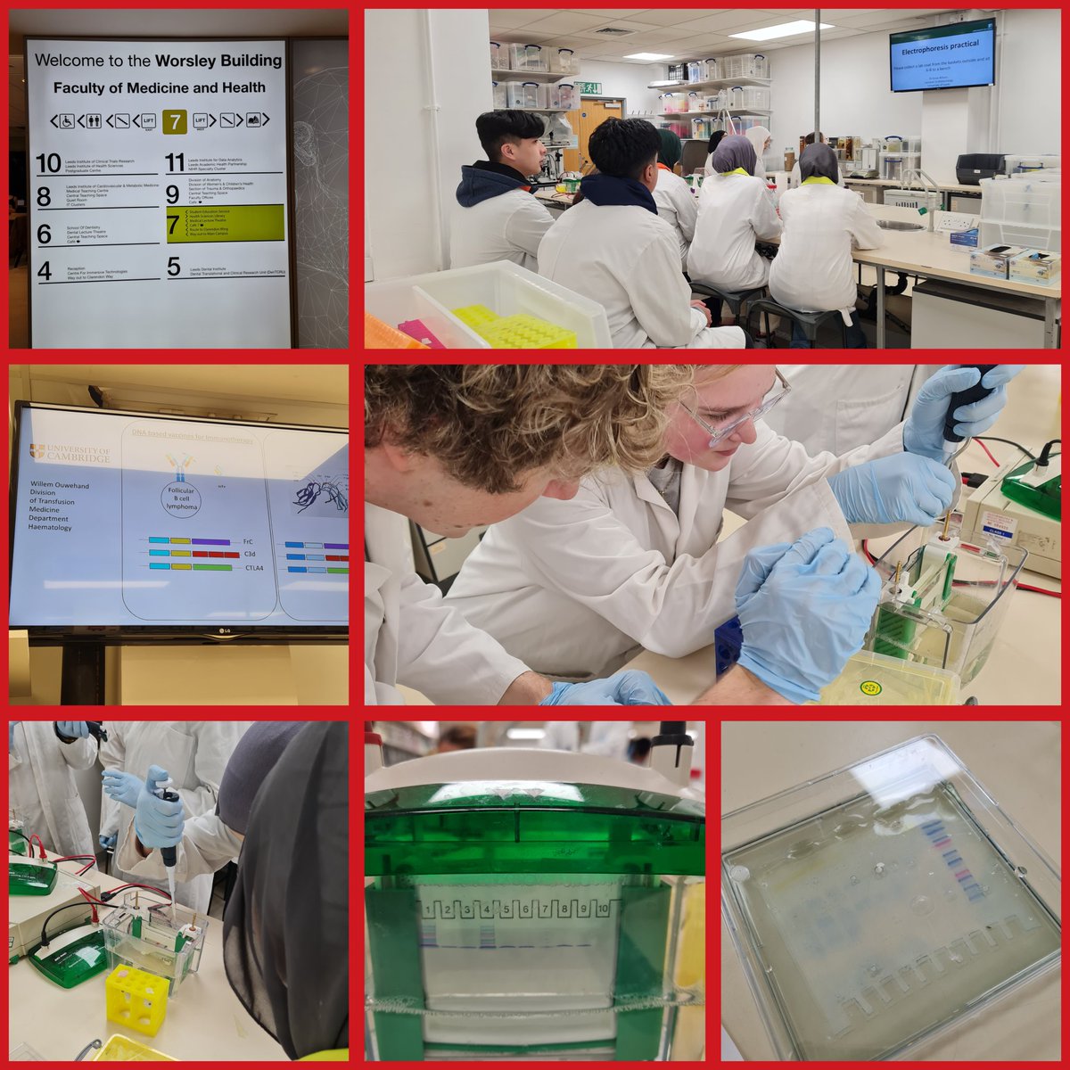 lawnswoodschool's tweet image. Y12 A Level Biologists are at the University of Leeds this morning visiting labs & carrying out microbiology & electrophoresis practicals @UniversityLeeds #PracticalScience #FOYF