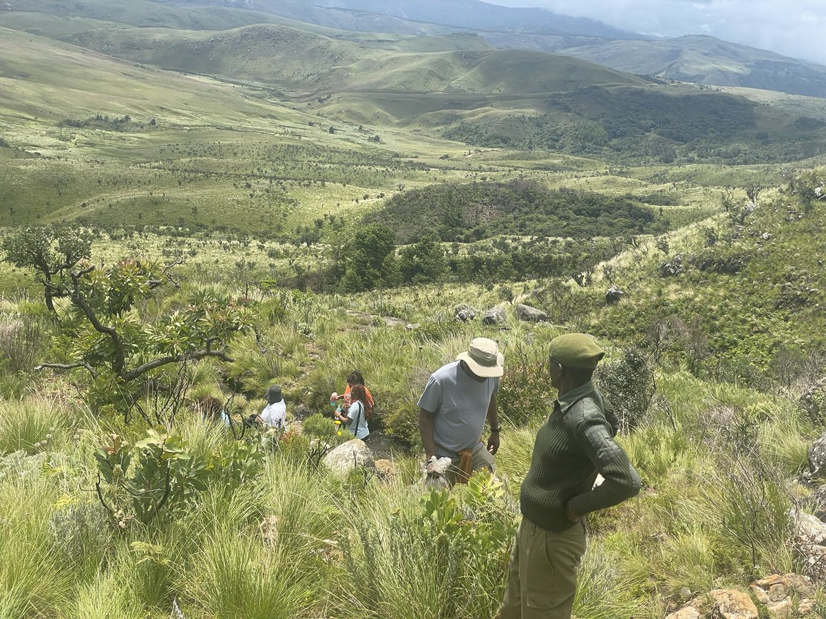 Mt Nyangani, Hiking 
#visitnyanga
#VisitZimbabwe
#travelafrica