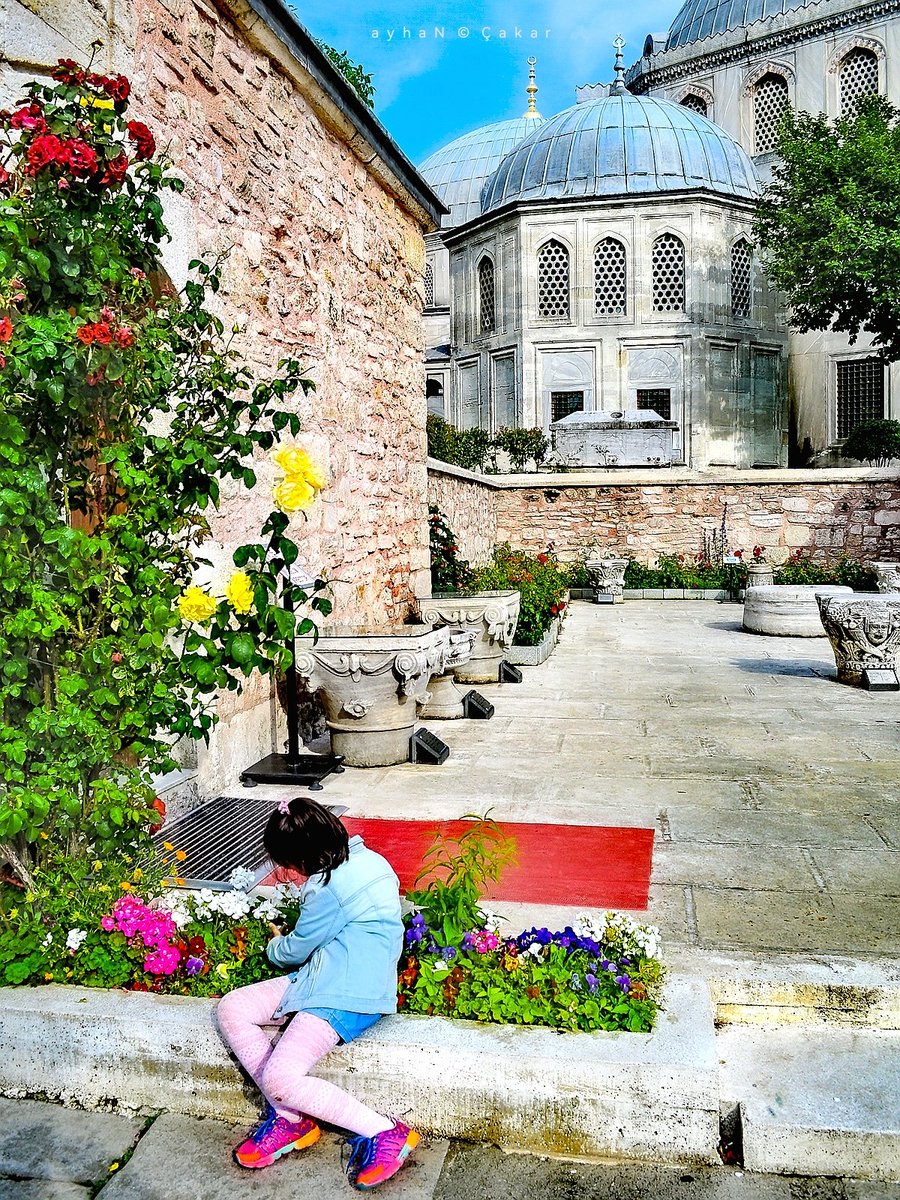 Once Upon a Time
In the back garden 💛💚
Wonder Hagia Sophia 💖💙
#AyasofyaCami
#HagiaSophia #Ayasofya
#Byzantine #Ottoman 📸
#ArchitecturalPhotography
#Tmsn #Unesco 💫