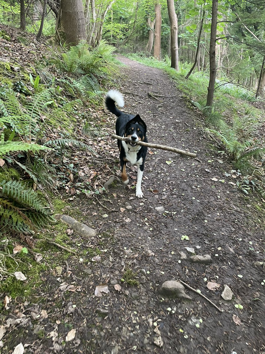 C’mon mum, keep up!