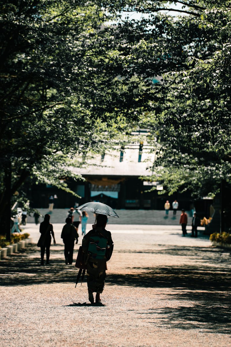 NikonD5300
#ファインダー越しの私の世界 
#写真撮ってる人と繫がりたい 
#写真好きな人と繫がりたい
#PhotographyIsArt

桜も散って、夏が始まろうとしている北海道神宮