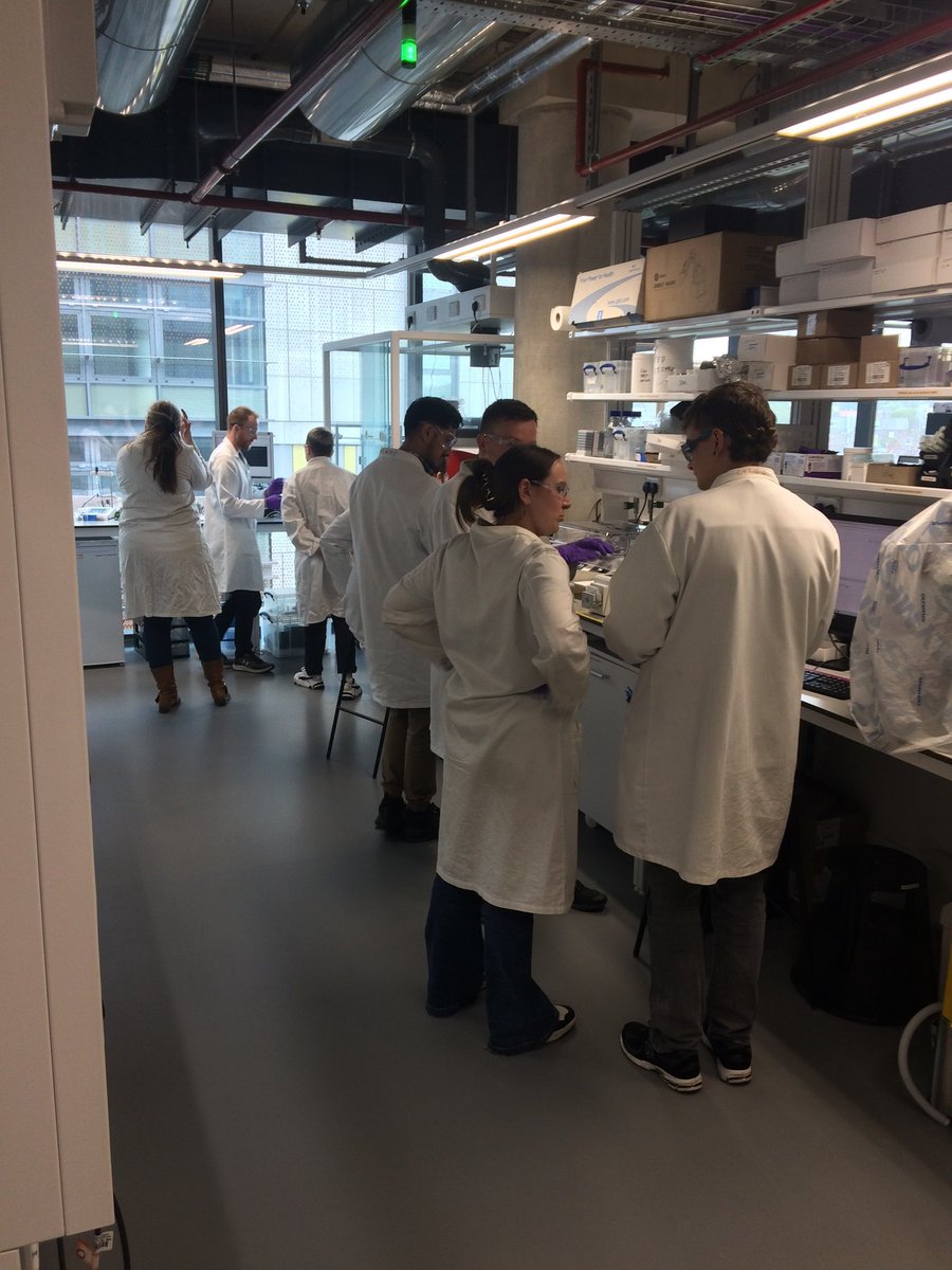 If you ignore me being the hovering supervisor, it was so nice to see this photo of some of the group working together in the lab yesterday, courtesy of @benjybenj 🤩