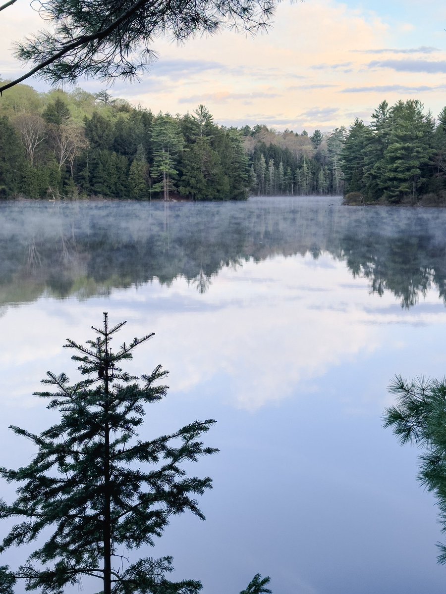 🖼️: “Forest’s Breath”
📅: May 11th, 2024
🗺️: McEwen Lake, #AlgonquinHighlands #Ontario #Canada 
📸: #iPhone14 
🎞️: 1/470, f1.8, ISO 64
.
.
.
.
.
🏷️: #photography #travel #photographyisArt #art #travel #photo #travel #nature #AlgonquinPark #backcountry #photographylovers #fotograf