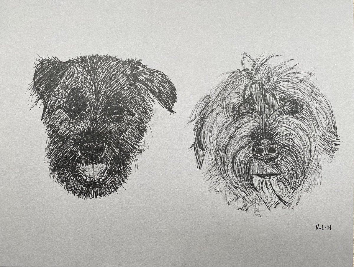 ‘Archibald & Haggis’ Loved inking these cheeky chappies! #inksketch #inkart @sallyacb275