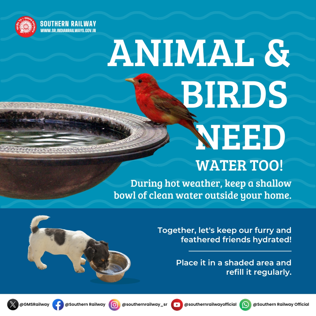 Animals & Birds Need Water Too! ☀

During hot weather, let's be their hero!

Keep a shallow bowl of #CleanWater outside your home. Place it in a shaded area and refill it regularly.

Together, we can keep our furry & feathered friends hydrated! 

#SouthernRailway #AnimalCare